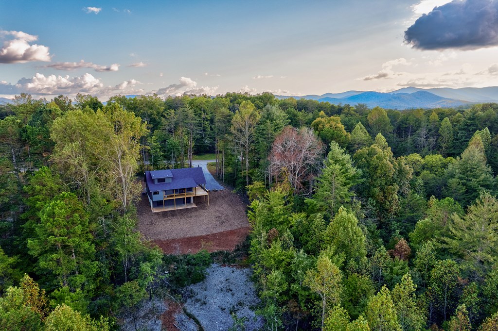 3448 Lickskillet Road Epworth, GA 30541 - Photo 60 of 71