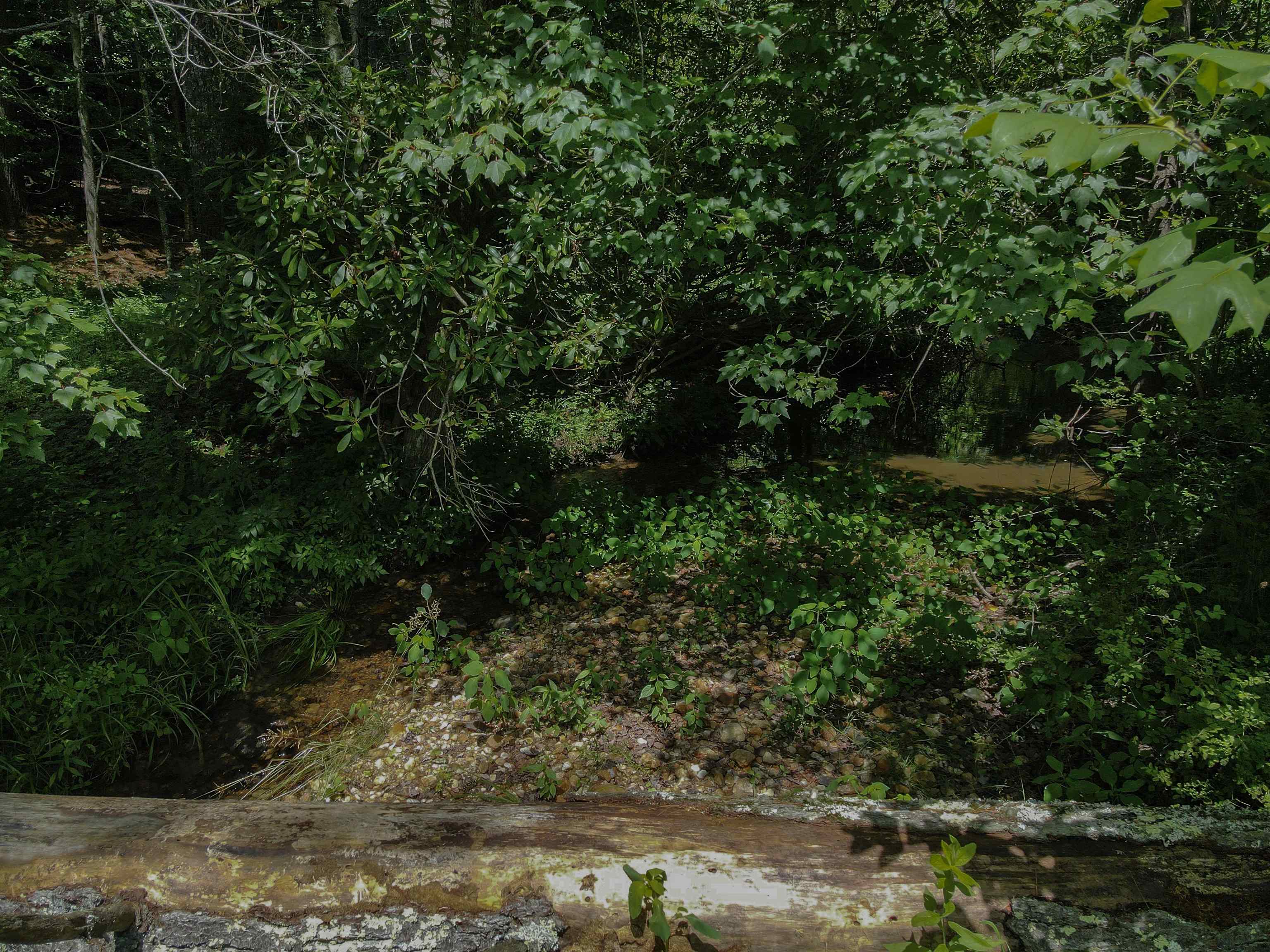 Tbd Kings Store Road Northeast Floyd, VA 24091 - Photo 17 of 28 Gallery Image 17