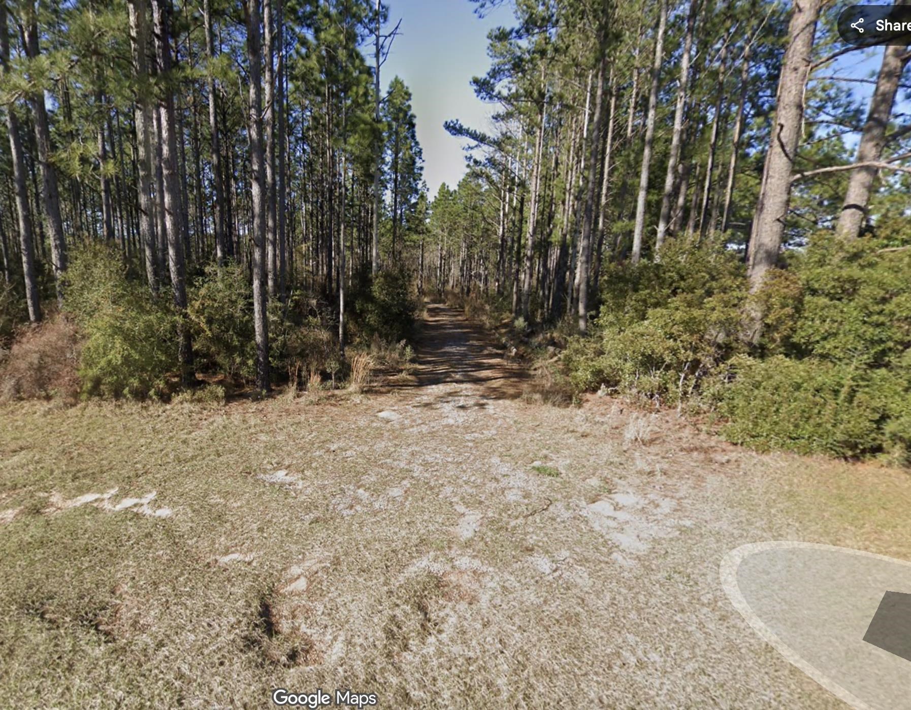 28067 New Hope Church Road Robertsdale, AL 36567 - Photo 2 of 3 Yard