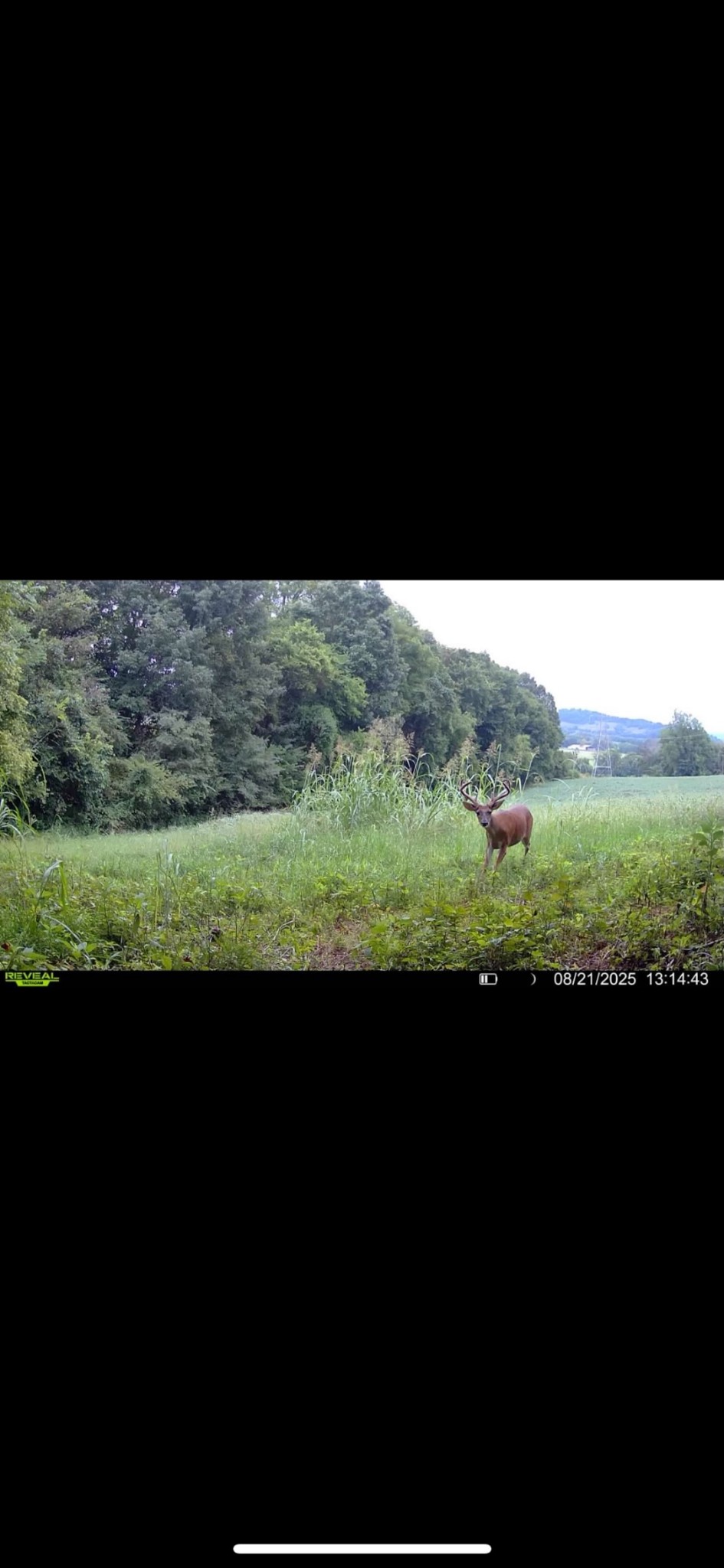 0 Red Hill Road Normandy, TN 37360 - Photo 10 of 12 Gallery Image 10
