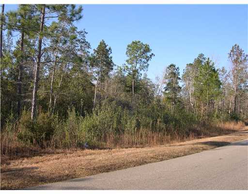 23268 Herman Ladner Road Saucier, MS 39574 - Photo 1 of 3 Primary Photo