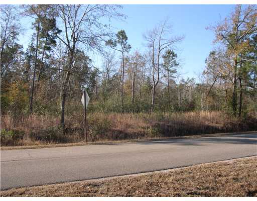 23268 Herman Ladner Road Saucier, MS 39574 - Photo 3 of 3 Additional Photo