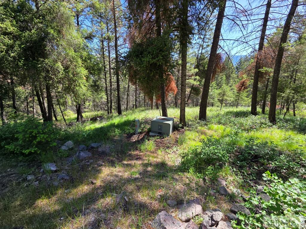 21 Pinetree Drive Salmon, ID 83467 - Photo 44 of 71
