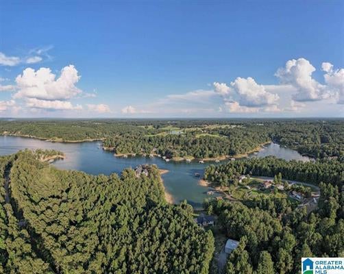 Lot A Camp Jimmy Goodwin Road Jasper, AL 35503 - Photo 12 of 13 Gallery Image 12