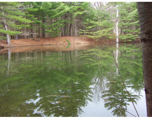 11 Huntington Road Worthington, MA 01098 - Photo 3 of 10 a view of outdoor