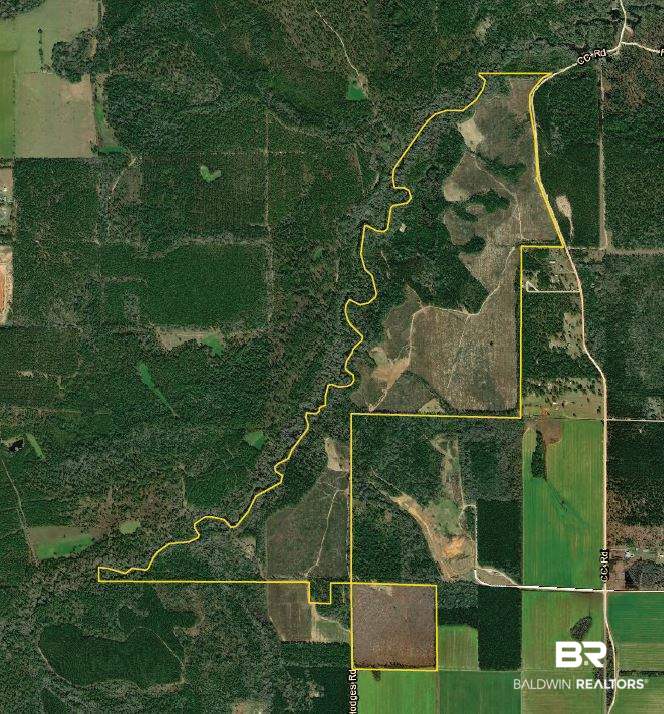 17525 Joe Gottler Road Elberta, AL 36530 - Photo 44 of 44