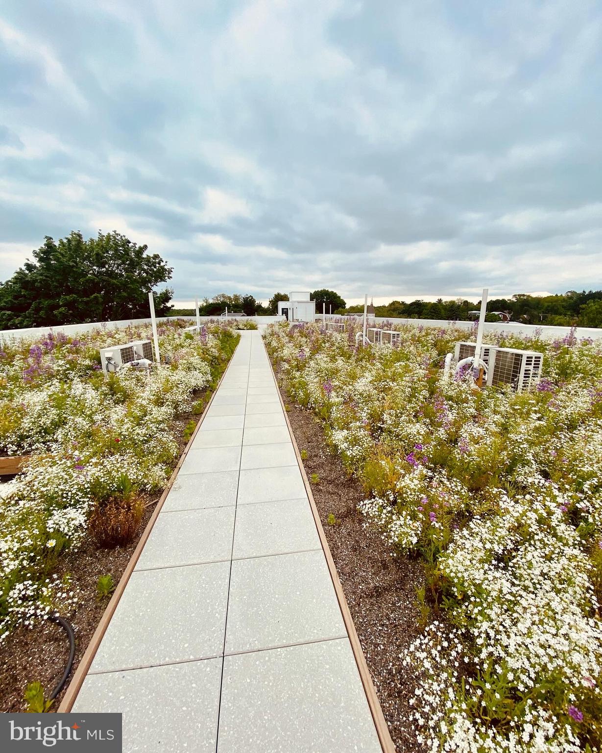 5542-44 Ridge Avenue, Unit 307 Philadelphia, PA 19128 - Photo 18 of 19