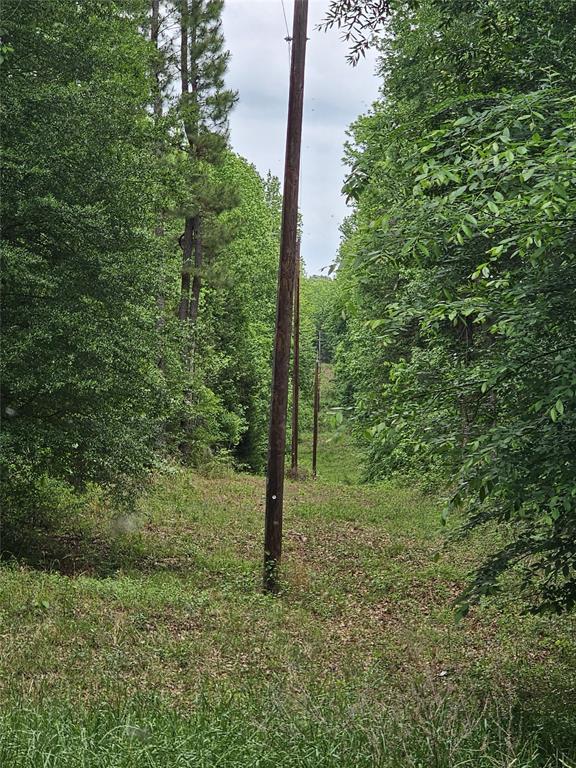 1350 County Road Paris, TX 75462 - Photo 29 of 32 Gallery Image 29