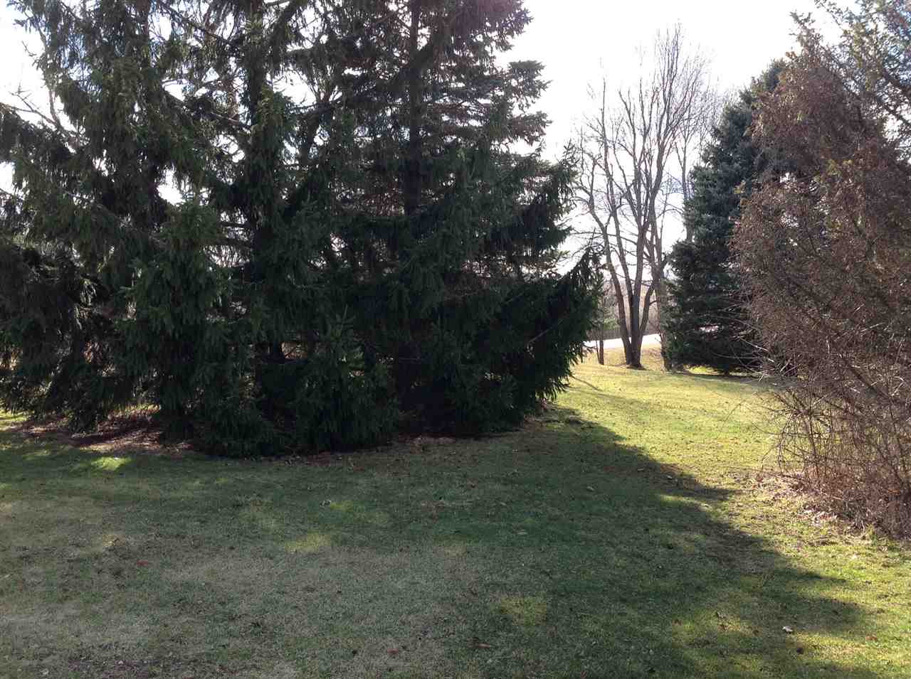 9840 East Cedarville Road Davis, IL 61019 - Photo 8 of 14 a view of yard with trees