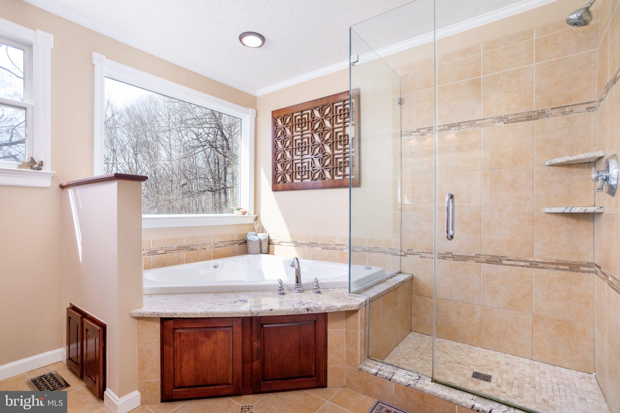 3810 Davis Corner Road Street, MD 21154 - Photo 34 of 79 Soaking tub and over sized shower.
