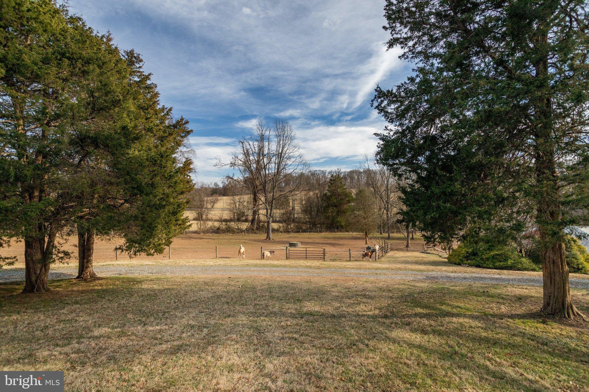 3810 Davis Corner Road Street, MD 21154 - Photo 60 of 79 Fenced paddock