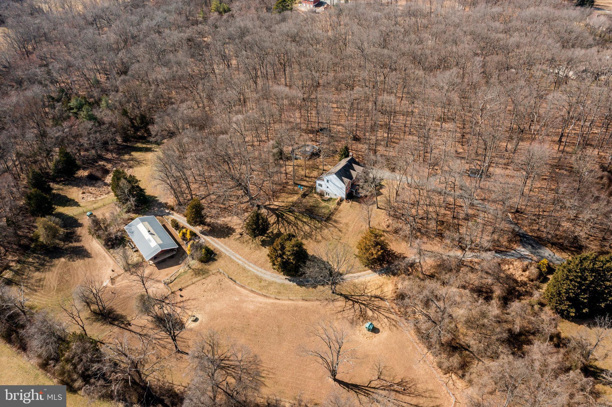 3810 Davis Corner Road Street, MD 21154 - Photo 76 of 79 50 acres of protected woods next to this home