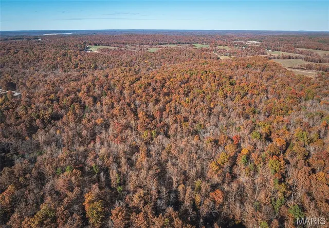 $225,000 | 0 County Road 748, Centerville, MO 63633