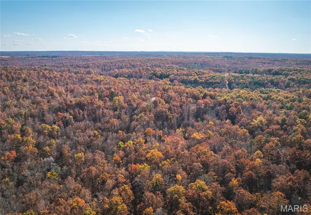 $225,000 | 0 County Road 748, Centerville, MO 63633