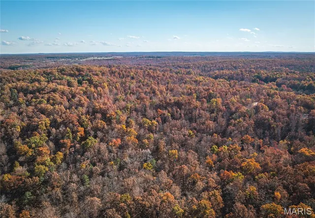 $225,000 | 0 County Road 748, Centerville, MO 63633