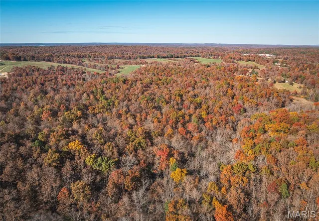 $225,000 | 0 County Road 748, Centerville, MO 63633