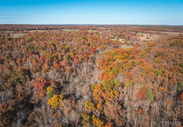$225,000 | 0 County Road 748, Centerville, MO 63633