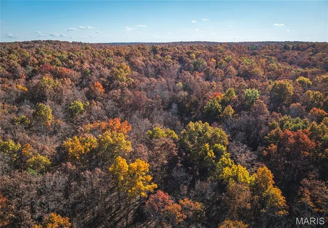 $225,000 | 0 County Road 748, Centerville, MO 63633