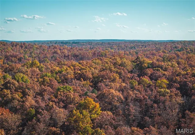 $225,000 | 0 County Road 748, Centerville, MO 63633