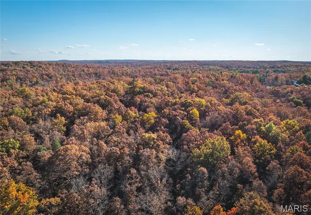 $225,000 | 0 County Road 748, Centerville, MO 63633