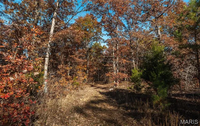 $225,000 | 0 County Road 748, Centerville, MO 63633