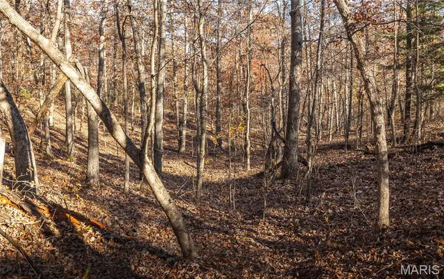 $225,000 | 0 County Road 748, Centerville, MO 63633