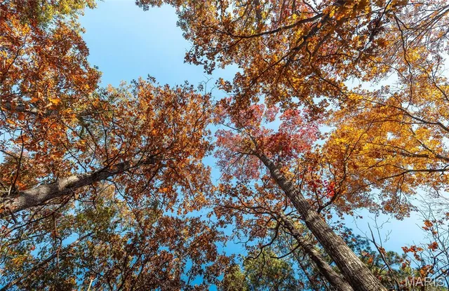 $225,000 | 0 County Road 748, Centerville, MO 63633