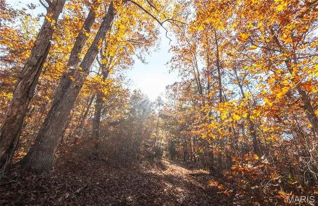 $225,000 | 0 County Road 748, Centerville, MO 63633