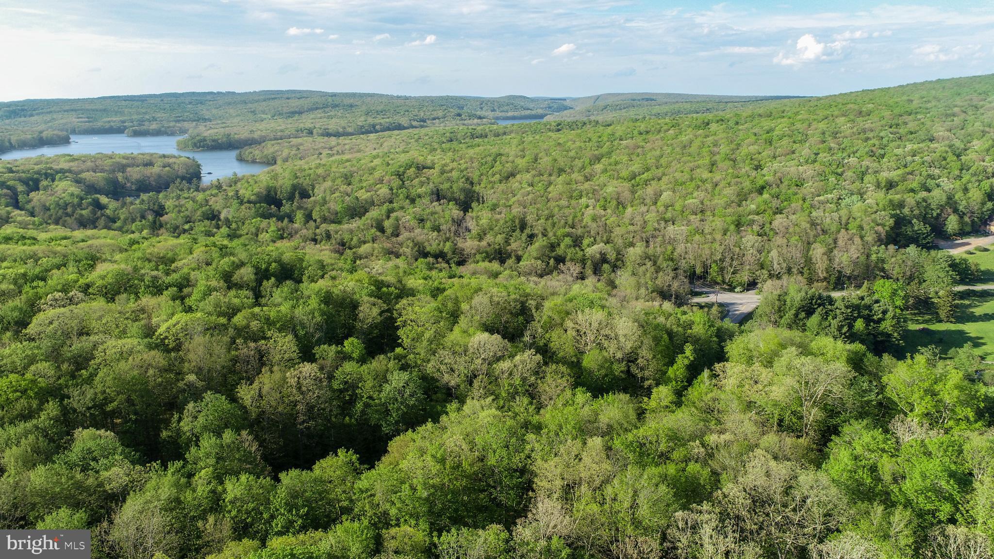 Red Run Heights Road Oakland, MD 21550 - Photo 22 of 24 an aerial view of a houses with a yard and lake