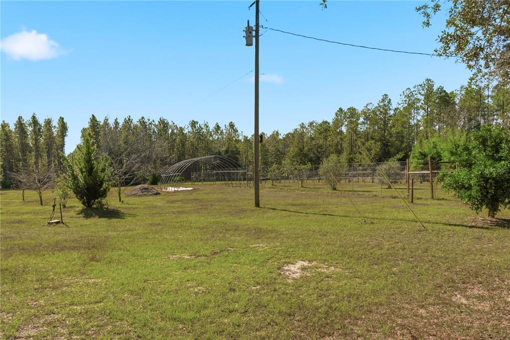 1349 Southwest 27th Place Bell, FL 32619 - Photo 19 of 55