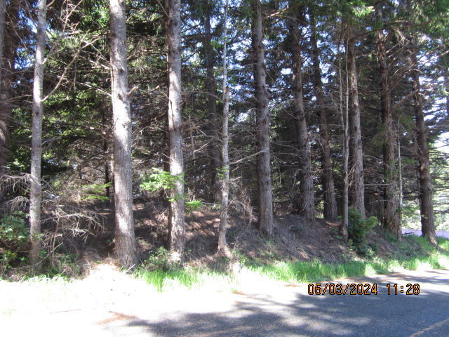 232 Nob Hill Road Shelter Cove, CA 95589 - Photo 3 of 20