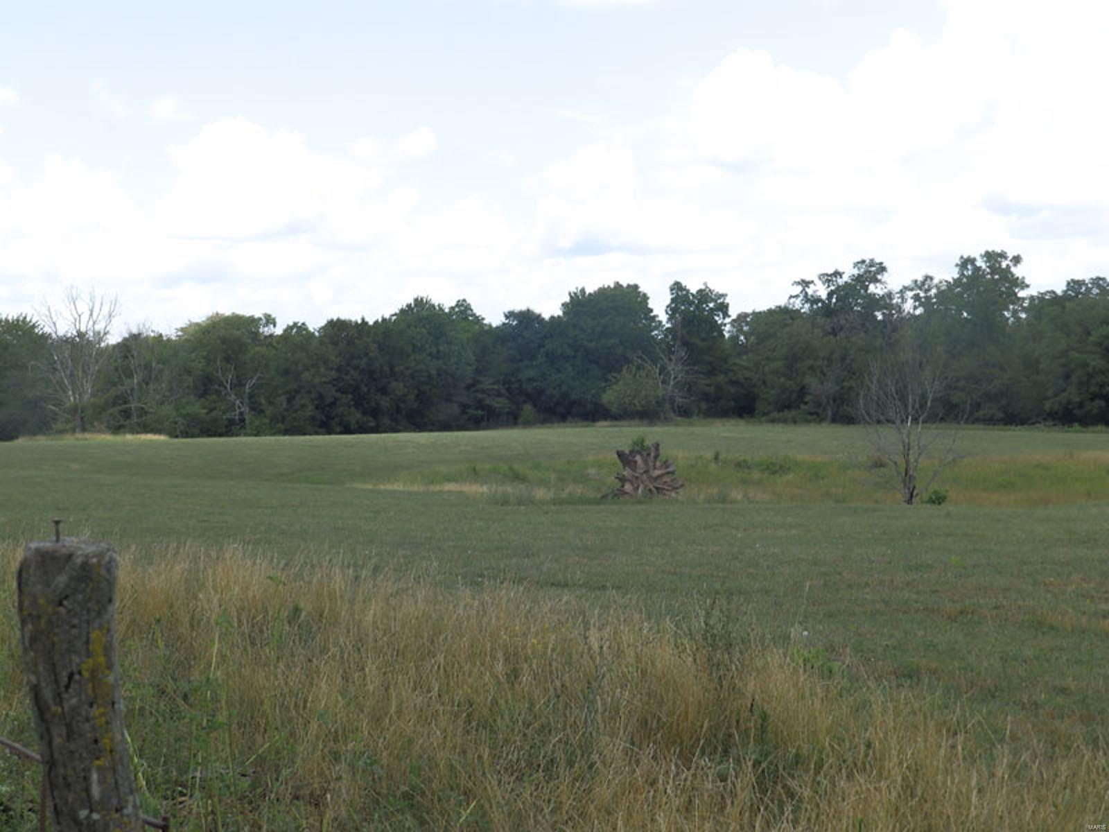 34150 Perry Fishhook Road Baylis, IL 62314 - Photo 3 of 5