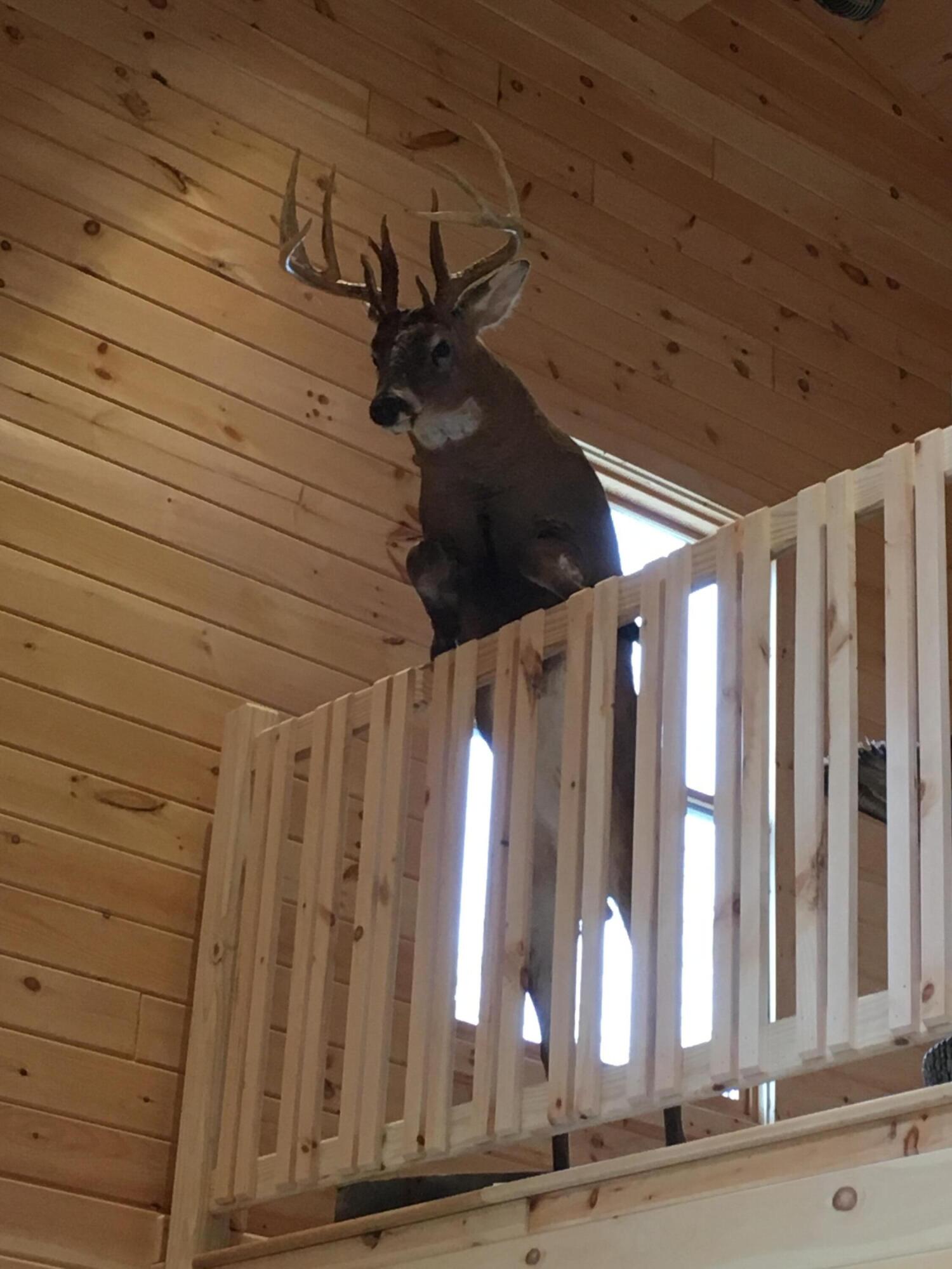 726 Old Brown Road Salvisa, KY 40372 - Photo 28 of 89 IMG_1076