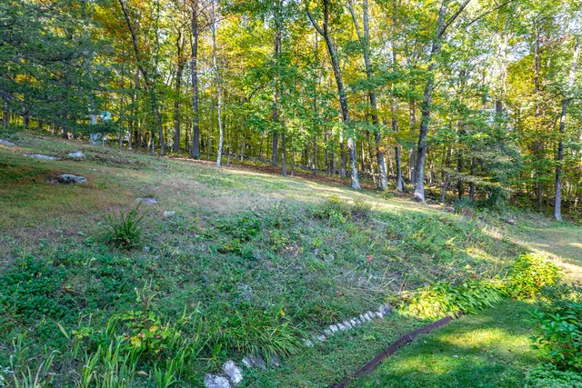 a big yard with lots of green space and trees