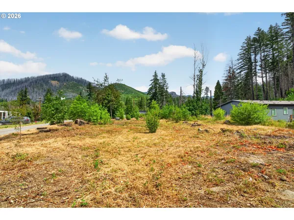 $160,000 | 51790 Echo Street, Blue River, OR 97413