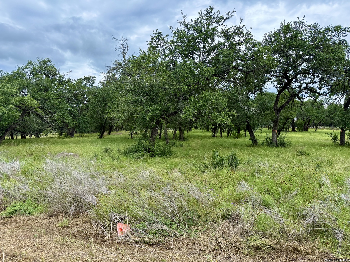 34781 High Gate Road Bulverde, TX 78163 - Photo 8 of 20