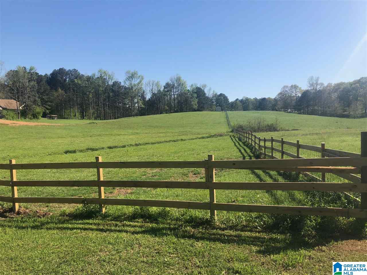 Mt Moriah Road, Unit 1 Pell City, AL 35125 - Photo 7 of 7 Gallery Image 7