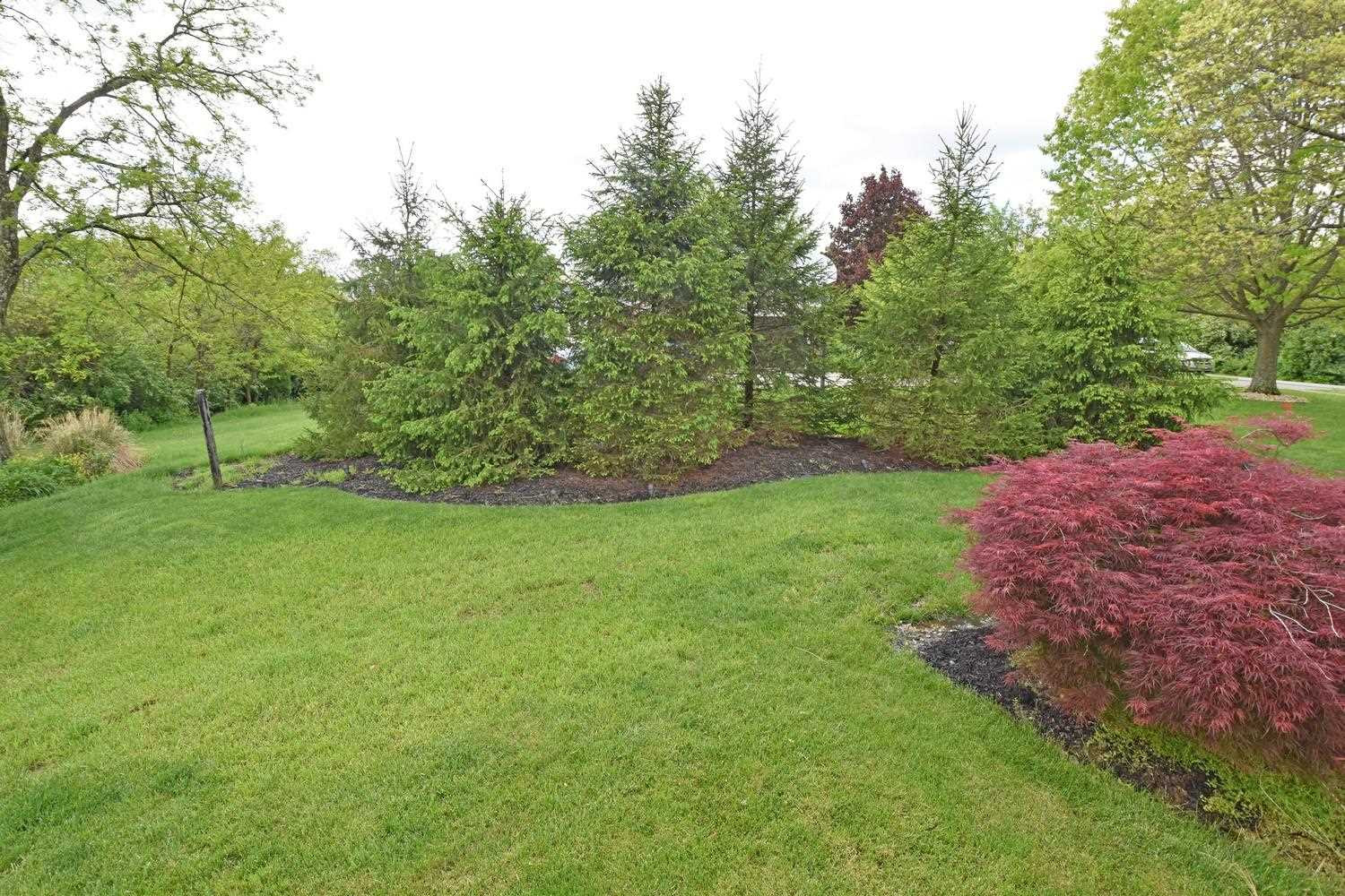 1043 Robertson Road Fort Mitchell, KY 41017 - Photo 45 of 50 Gallery Image 45