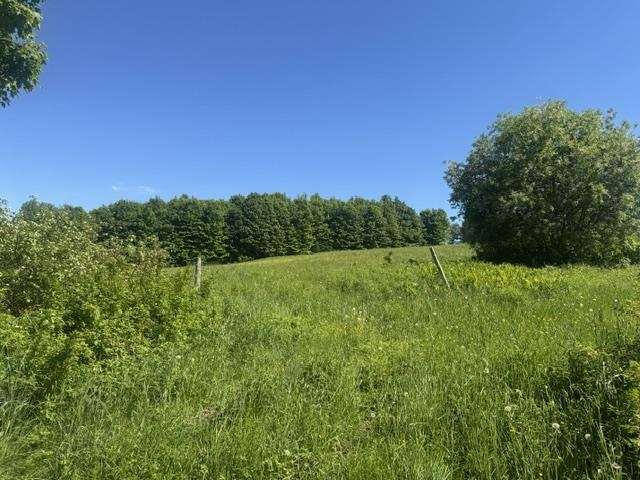 3491 County Road Albany, VT 05875 - Photo 38 of 44