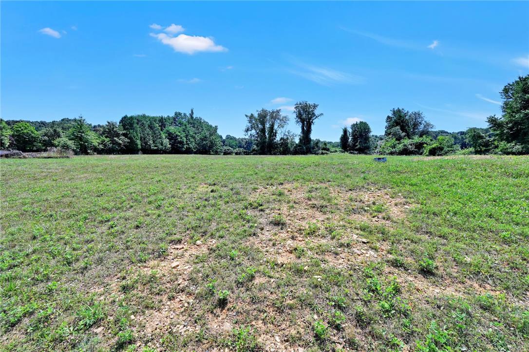 101 Conrad Road Fleetwood, PA 19522 - Photo 25 of 42 An open grassy field under a bright blue sky, bordered by a line of mature trees.