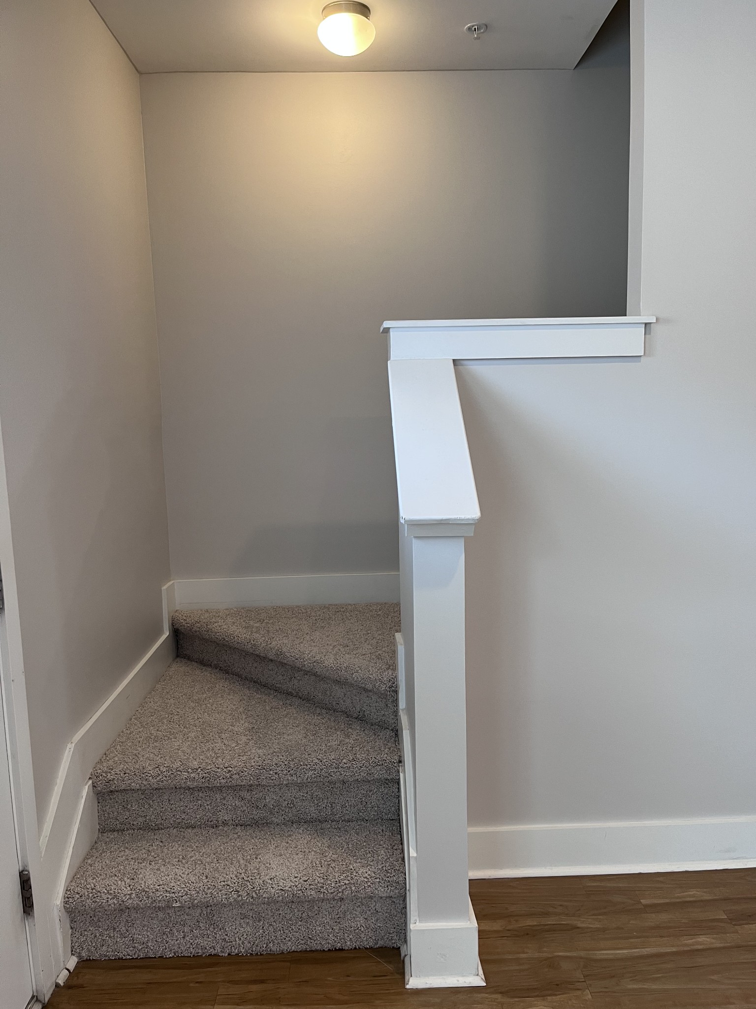8011 Tuberose Court Spring Hill, TN 37174 - Photo 8 of 20 a view of entryway