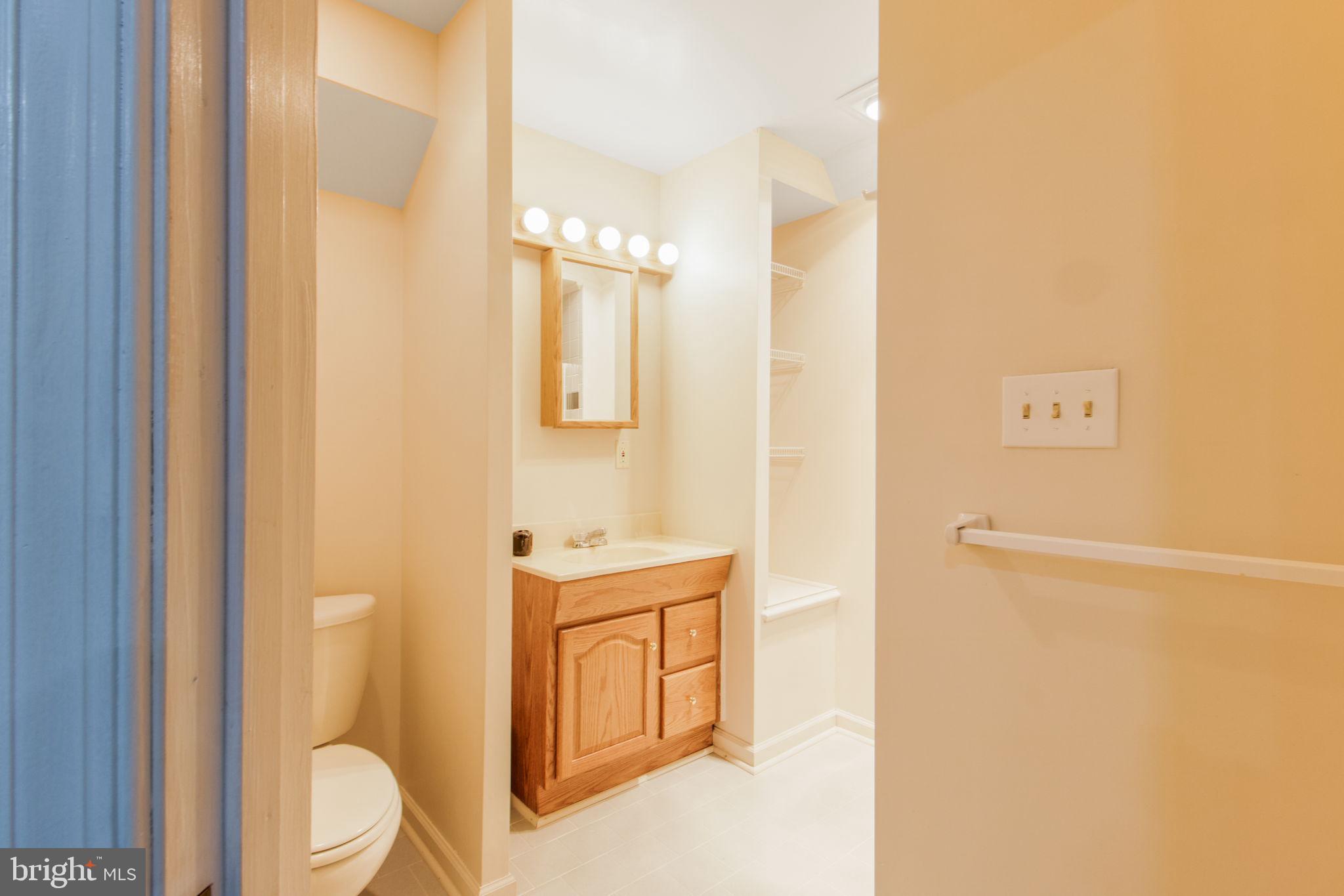 10213 Wetherburn Road Ellicott City, MD 21042 - Photo 54 of 67 Gallery Image 54