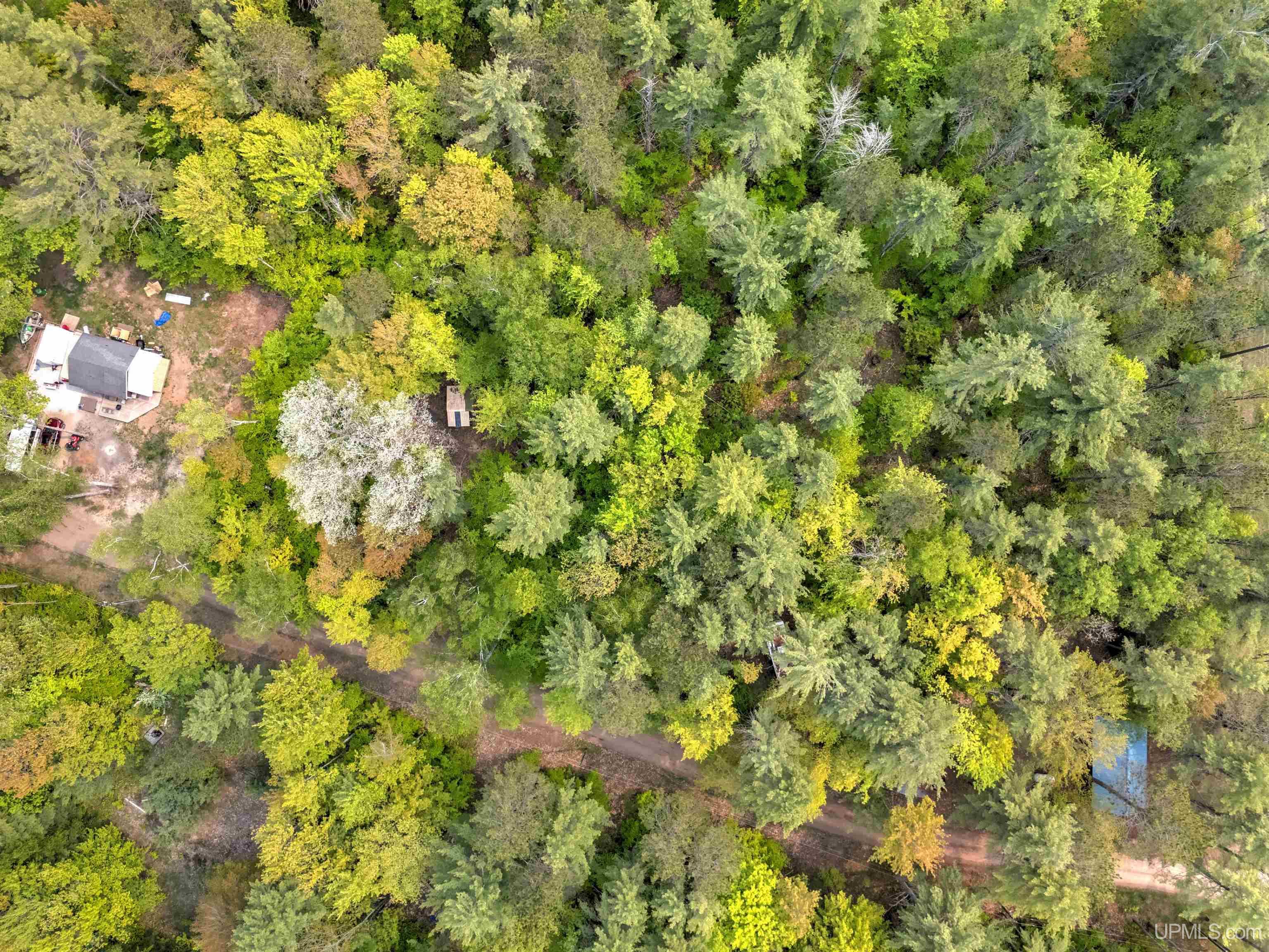Tbd West Lily Lk Road Manistique, MI 49854 - Photo 4 of 7