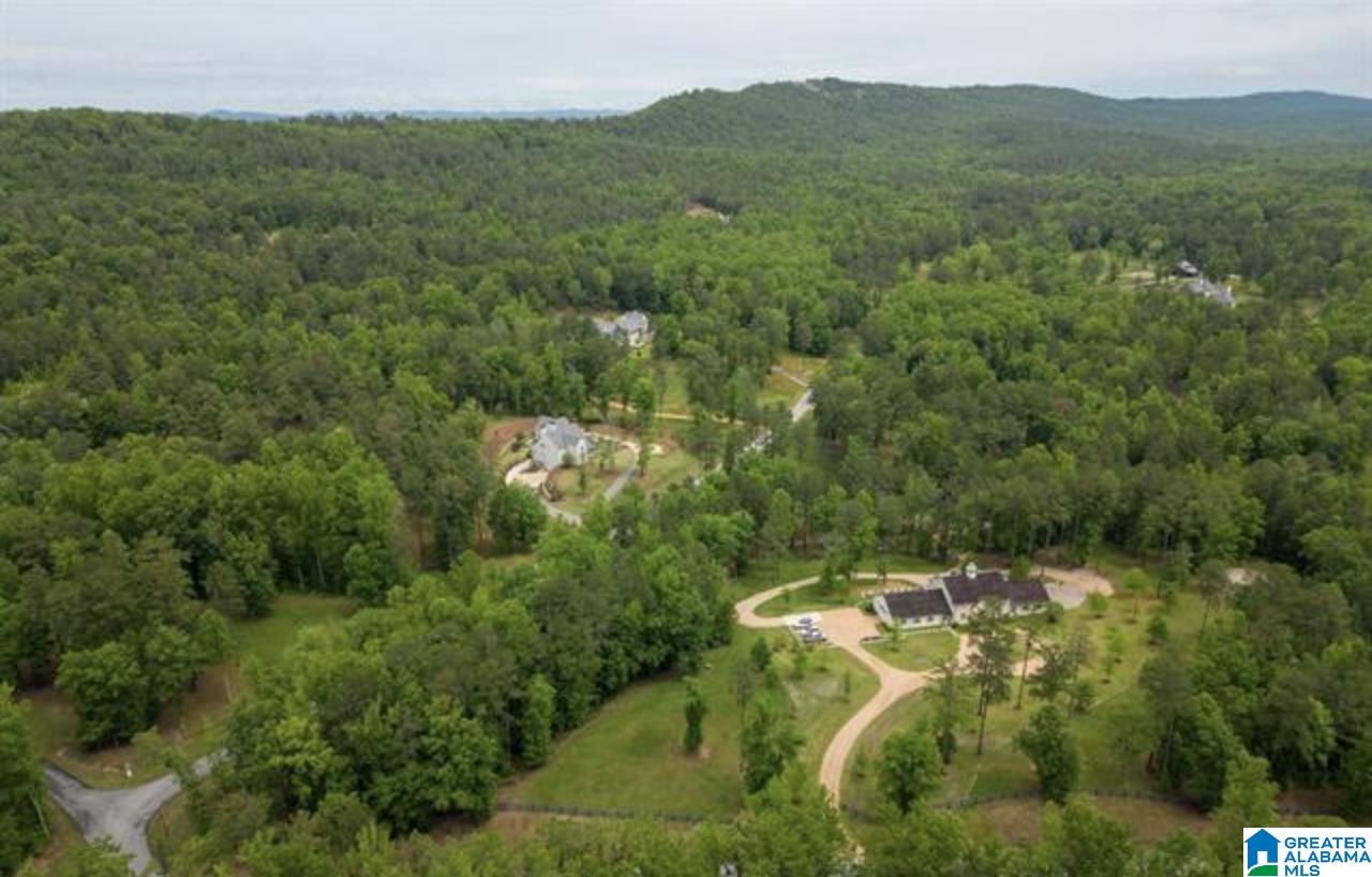 3459 Springstone Trail, Unit LOT 2 Leeds, AL 35094 - Photo 11 of 21 Gallery Image 11