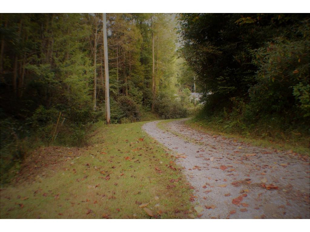 325 Piney Grove Road Hampton, TN 37658 - Photo 3 of 31 Photo 3