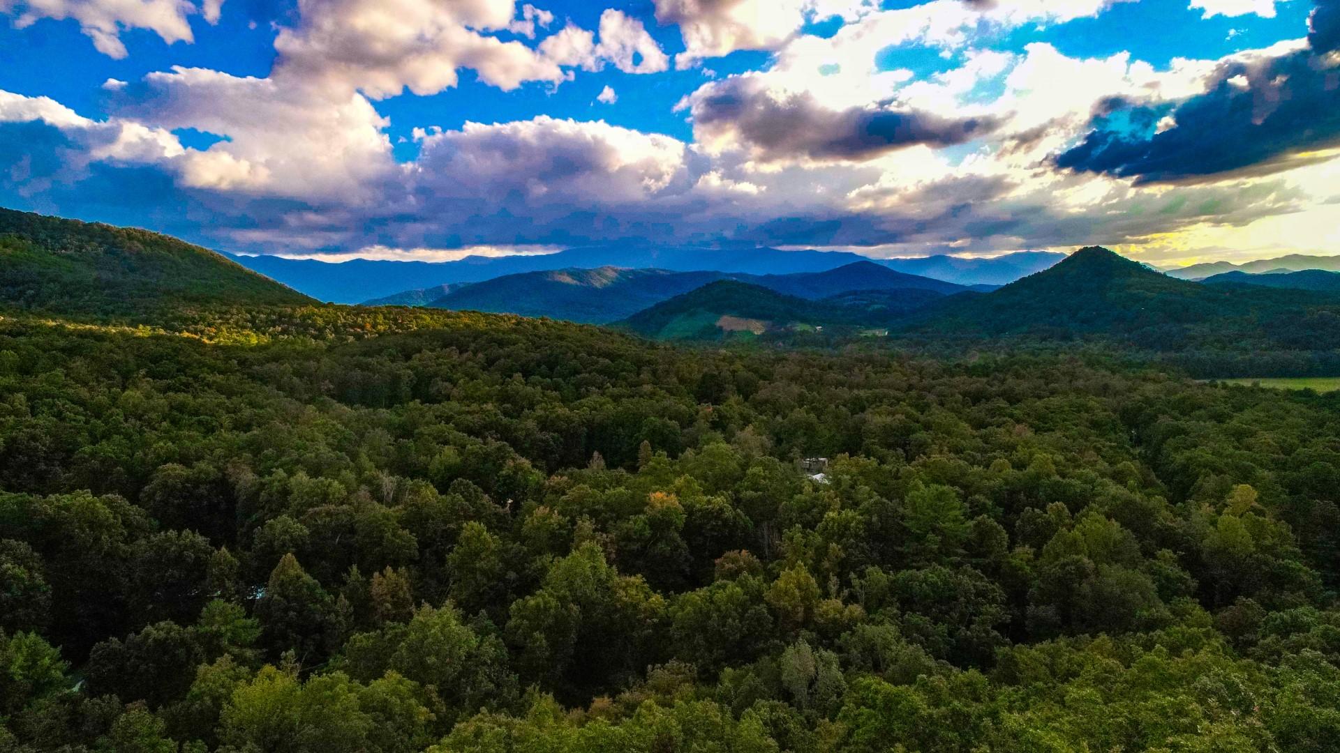 Maple Lane Newport, TN 37821 - Photo 2 of 25 DJI_0034