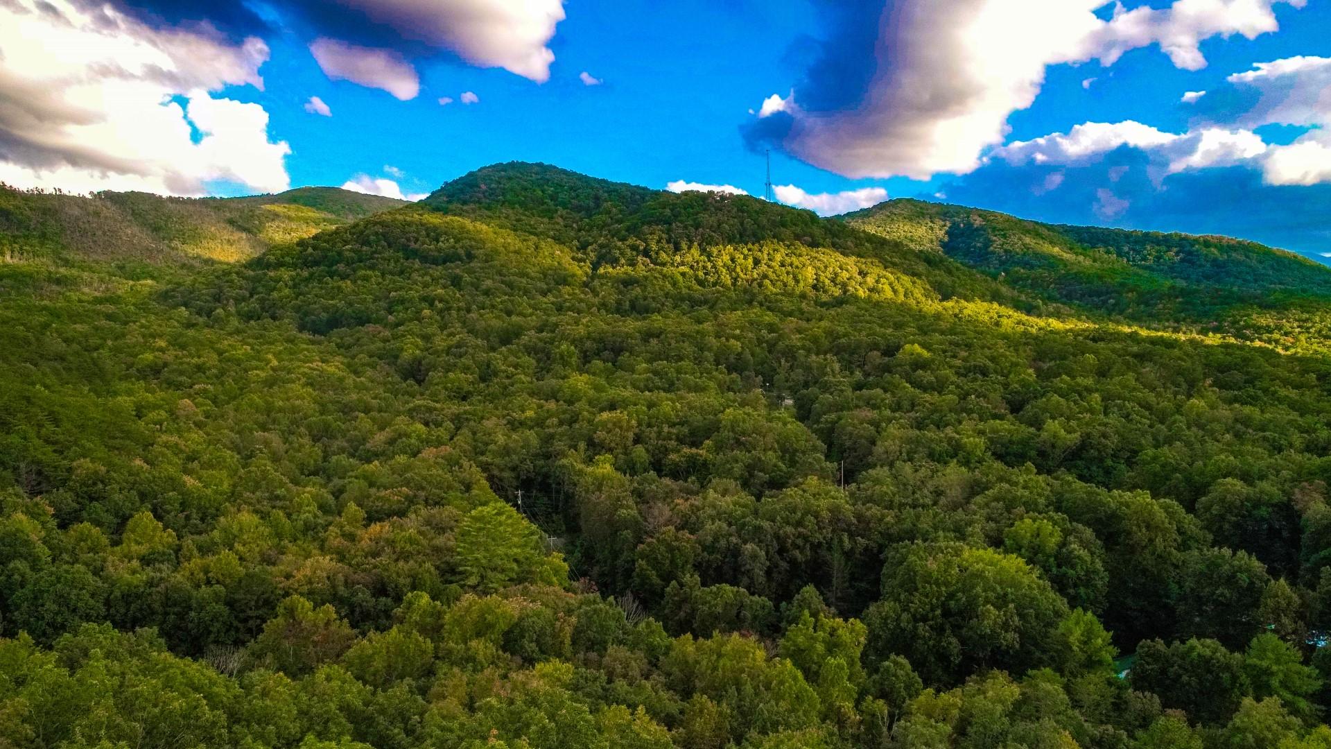 Maple Lane Newport, TN 37821 - Photo 11 of 25 DJI_0035