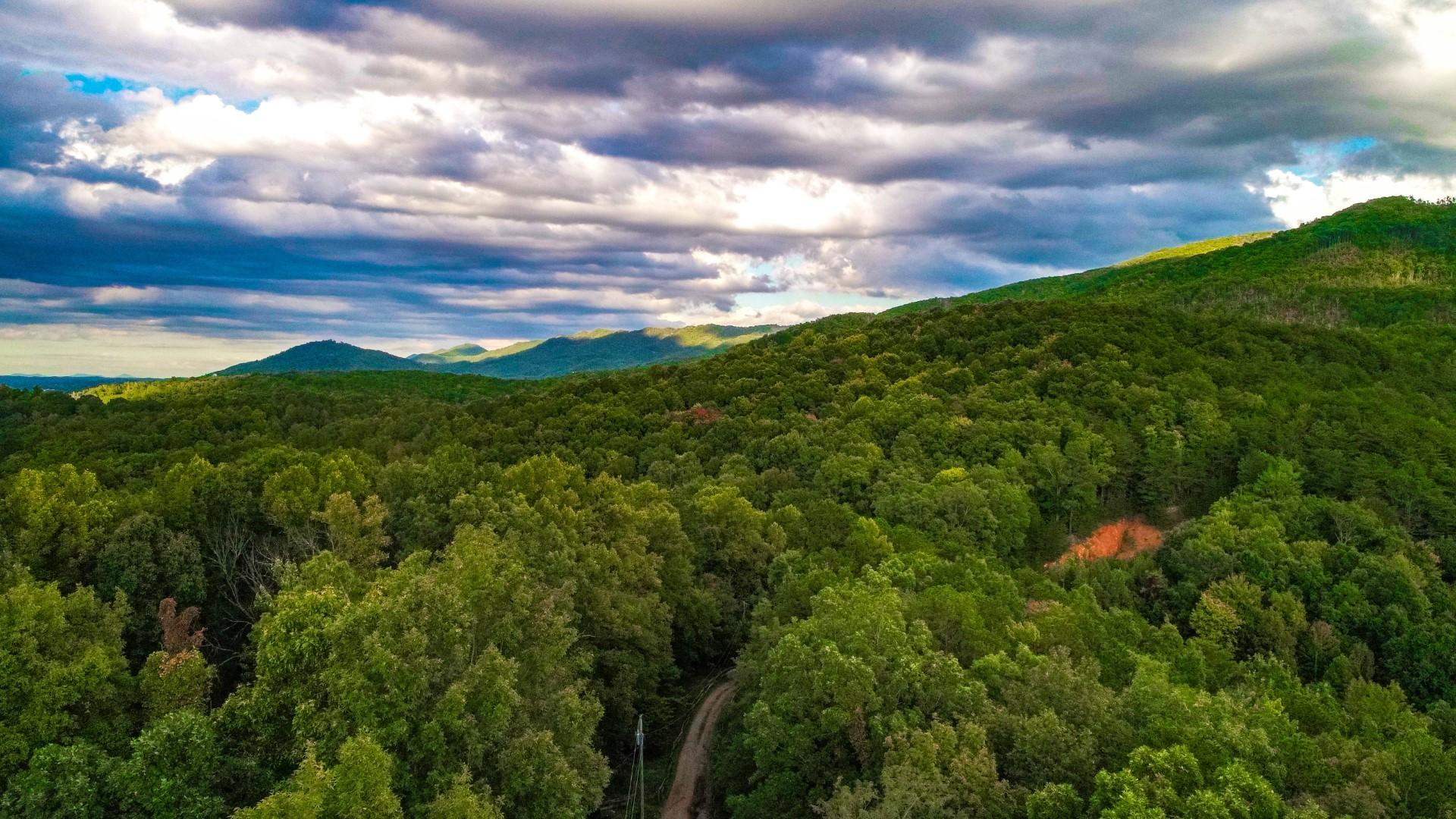 Maple Lane Newport, TN 37821 - Photo 12 of 25 DJI_0036