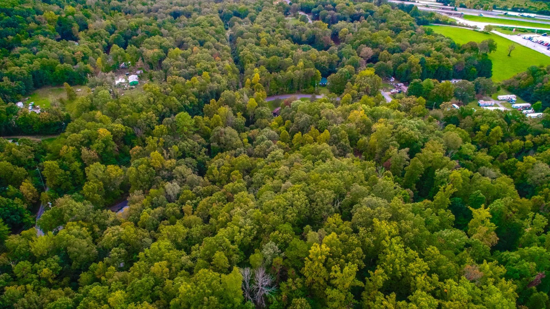 Maple Lane Newport, TN 37821 - Photo 15 of 25 DJI_0040