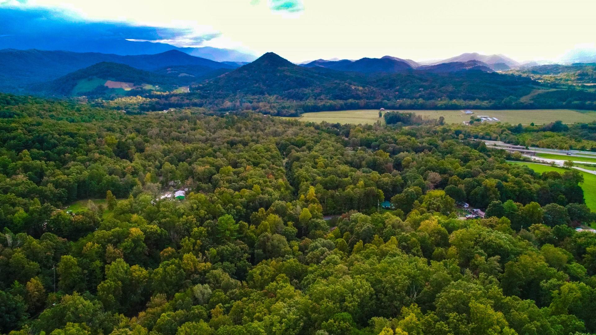 Maple Lane Newport, TN 37821 - Photo 16 of 25 DJI_0041